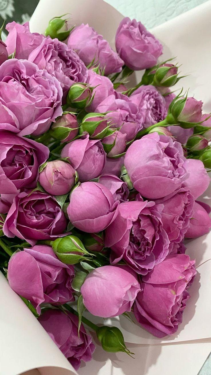 Whispers of Dawn Floral Elegance